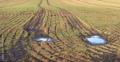 Despite modern technology, too much liquid manure is still spread on fields in Germany. As a result, more and more manure penetrates into the groundwater, which increases the nitrate content.