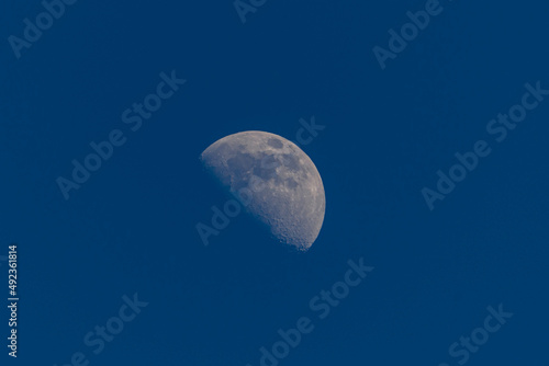 Biały księżyc w dzień na bezchmurnym niebie w fazie pierwszej kwadry.