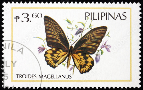 Postage stamp Philippines 1971 Magellan birdwing, butterfly