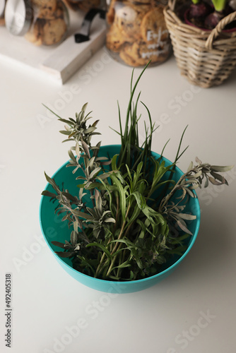 Herbes Aromatiques 