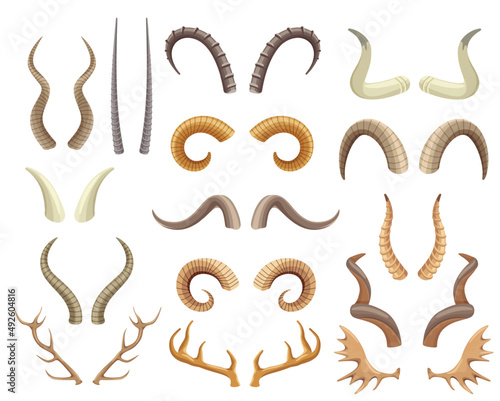 Animal horns and antlers, antelope, ram, moose, reindeer horn. Wild animals hunting trophies, deer antler, buffalo and goat horns vector set. Wildlife mammals elements isolated on white