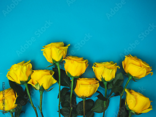 Yellow roses on blue background with space for text