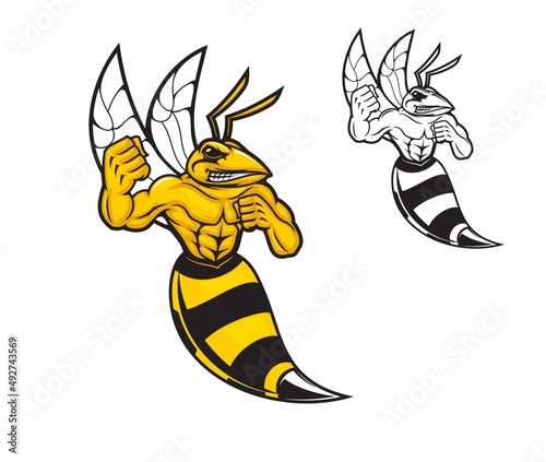 Hornet bee sport team mascot character, vector hornet or wasp. Cartoon strong muscle hornet bee with sting and punch fists, aggressive bumblebee for football or soccer club or sport team emblem