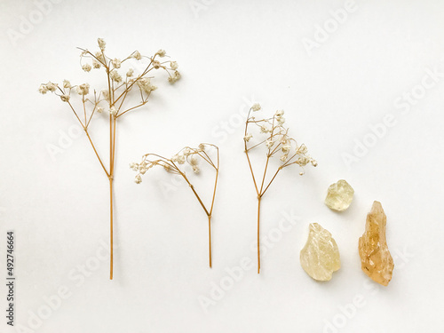 Set of natural resins and twigs of dried flowers , frankincense close-up on a white background 