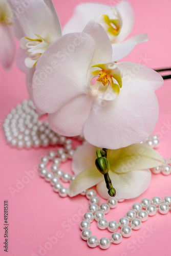 Pearl necklace and white orchid on pink background 