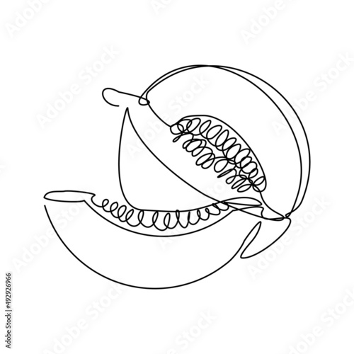 Continuous single one line drawing of fresh fruit green melon vector illustration