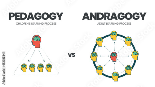 The vector illustration of comparison between pedagogy or child learning and andragogy or adult education. The infographic is different than teachers in adult learning are facilitators, not teaching 