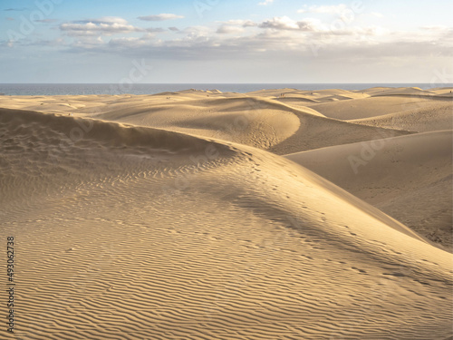 Famous natural park Maspalomas dunes in Gran Canaria at sunset, Canary island, Spain