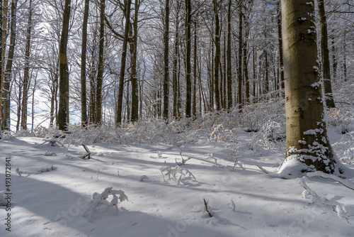 Winterzauber im Norden der Tschechischen Republik- Schluckenauer Zipfel