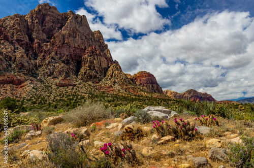 Spring at Red Rock