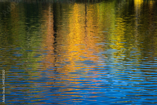 Vivid orange and golden tones reflect in water on an early morning fall day. Northern Wisconsin.