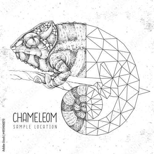 Realistic and polygonal chameleon illustration. Triangle animal vector illustration