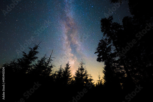 The Milky Way galaxy in the night sky over silhouettes of trees