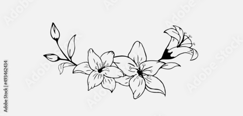 Hand drawn black lily flower semicircle wreath composition in cute doodle style. Luxury elegant sketch vector illustration for postcard, wedding invitations, birthday, thank you card, logo, cosmetics.