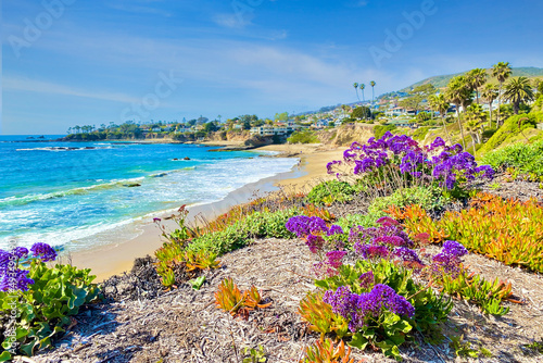 Blooming flowers at the beach, outdoor travel background, California, USA