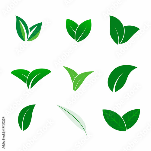 Green abstract leaf icons natural set on white background