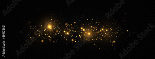 Beautiful sparks shine with special light. The dust sparks and golden stars shine with special light. Christmas Abstract stylish light effect.