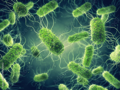 Pathogenic Salmonella bacteria. Salmonella infection (Salmonellosis) is usually caused by contaminated food or water