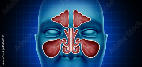 Health sinus nasal cavity with a frontal view of a nose as a medical concept