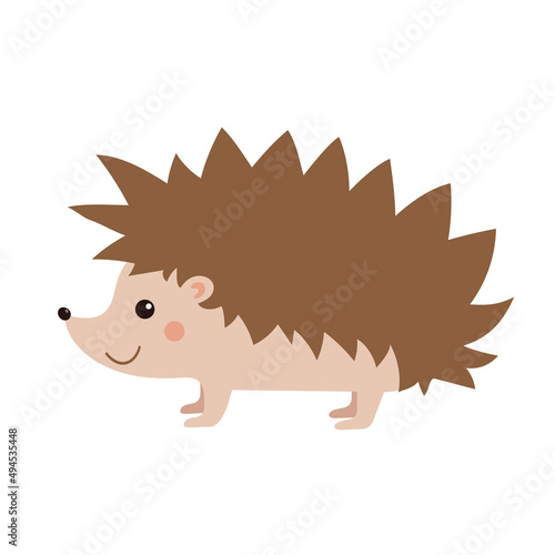 Cute cartoon hedgehog. Vector illustration. Flat style. Isolated element. Erinaceus europaeus.