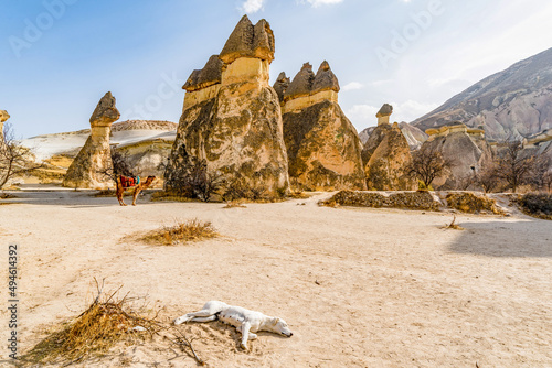 Walking in the desert of cappadocia