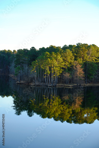 Trees in forest reflected in still waters of Jordan Lake