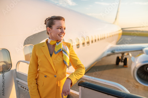 Joyful female stewardess standing near airplane at airport