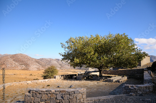 Psiloritis mountain range and the Nida plateau. Hard shadow from the mountain and blue sky. A beautiful tree with a wide crown saves from the sun. Stone benches and fence. Crete island, Greece.