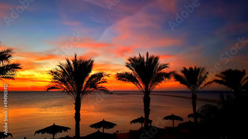 Beautiful view of palm trees at sunset in Soma Bay, Hurghada, Egypt