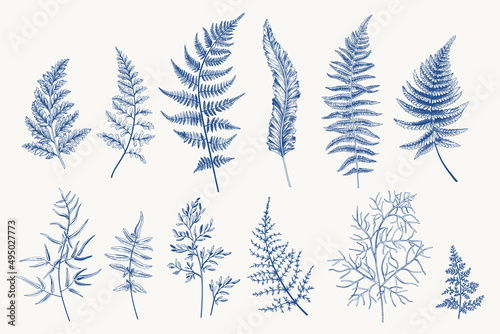 Set with fern leaves. Blue.