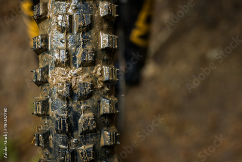 Mountain Bike Tire Close up Washington PNW