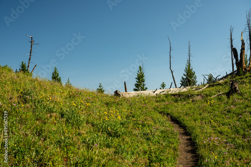 Narrow Trail Cuts Through Grassy Ridge Crest