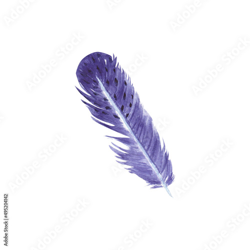 Bird feather in watercolor on a white background. Blue jay feathers, plumage illustration. Two elements on a white background. Suitable for postcards, design, packaging, textiles, printing, clothing