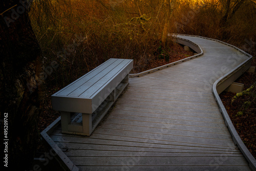 Curved wooden boardwalk and rectangular bench over the swamp marsh in the forest on Cape Cod, Massachusetts.