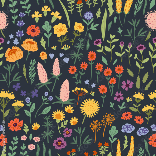 Vector seamless pattern with hand drawn wild plants, herbs and flowers, colorful botanical illustration, floral elements, hand drawn repeating background. Wild meadow herbs, flowering flowers