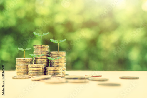 Term fund / time value of money / wealth creation, financial concept : Rising stacks of coins and green sprout, ideas about sustainable asset, fund investment from private income for long term growth