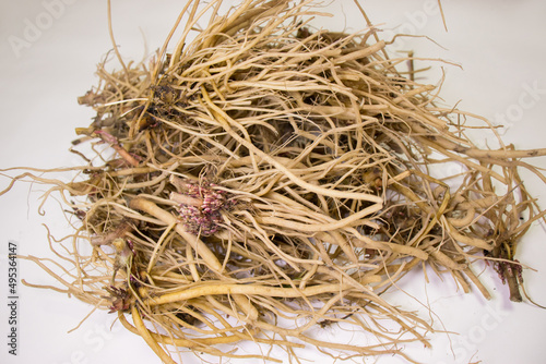 Achyranthes roots, medicinal plants, healthy food, medicinal herbs.