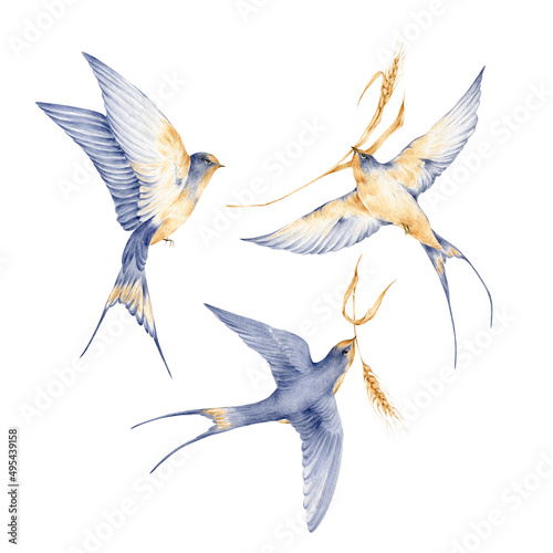 Watercolor symbol of Ukraine - swallow with wheat. Stand with Ukraine