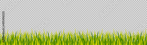 Realistic green grass on a transparent panoramic background - Vector
