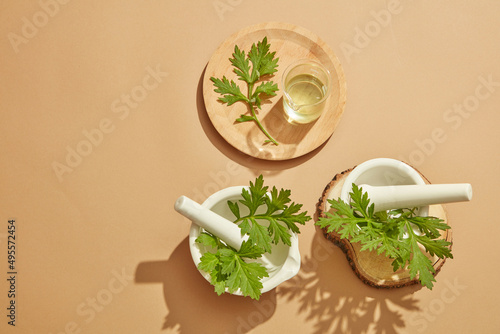 Top view of mugwort decorated with mortar and pestile wooden dish in wooden background for exfoliate advertising 
