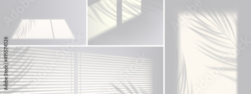 Shadow overlay effect backgrounds. Vector realistic mockup of room with sunlight from window and gray shades of blinds and plant leaves on white wall and floor