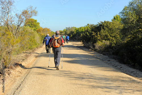 Grupo de senderistas en la Marisma de los Toruños y Pinar de la Algaida. Parque Natural Bahía de Cádiz, Andalucía, España.