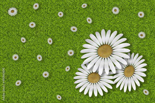 Illustrazione 3D. Primavera, estate. Fiori, fiore su prato verde texture. Sfondo campo di erba con fiori colorati.