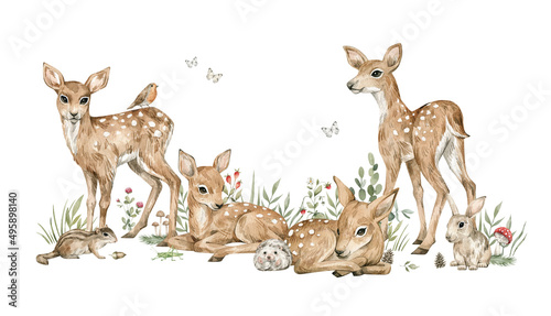 Watercolor forest baby animals. Cute deer, flowers, mushrooms, berries. Summer woodland, nature scene, valley. Wildlife creatures