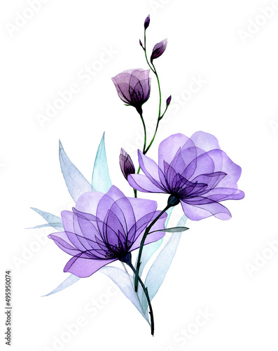 composition with transparent flowers. purple roses, wild rose flowers and leaves. delicate x-ray pattern