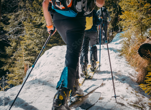 Ski tour of the group, together on ski touring in the mountains