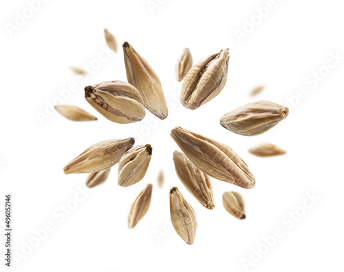 Barley malt grains levitate on a white background