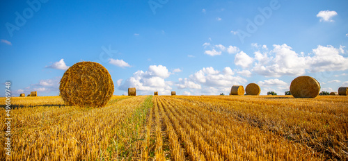 Paysage en campagne, agriculture en France pendant la moisson du blé.
