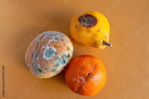 Top view of moldy foods isolated on color background
