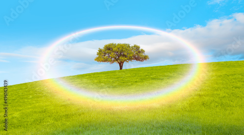Beautiful landscape with green grass field and lone tree in the background amazing rounded rainbow